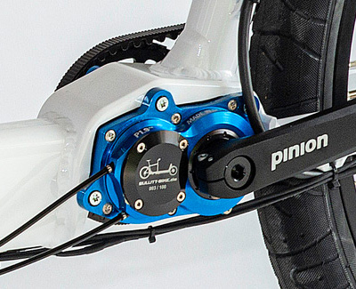 Piniongetriebe Bullitt Bike