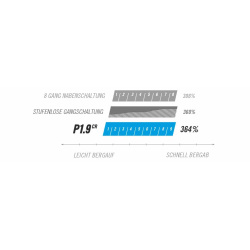 Pinion P-Linie Getriebe