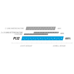 Pinion P-Linie Getriebe