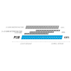 Pinion P-Linie Getriebe