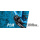 Pinion P-Linie Getriebe