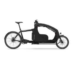 Bullitt Canopy