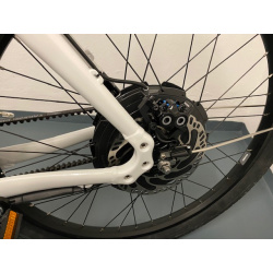 Pinion eBullitt/Neodrives Z20 Motor mit 6 bis 18 Gängen