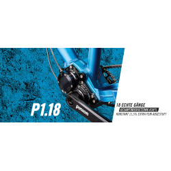 Pinion P-Linie Getriebe P1.9XR schwarz