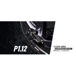 Pinion P-Linie Getriebe P1.9XR schwarz