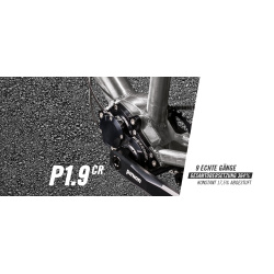 Pinion P-Linie Getriebe P1.9XR schwarz