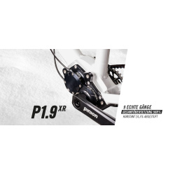 Pinion P-Linie Getriebe P1.9XR schwarz