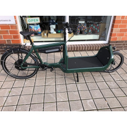 Pinion eBullitt/Neodrives Z20 Motor mit 6 bis 18 Gängen C1.9 XR Eigene RAL mit V10 Akku (725Wh)