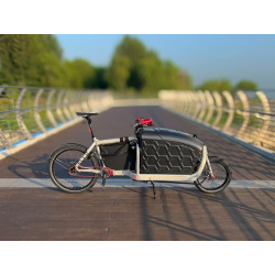 Carbon Transportbox für Bullitt