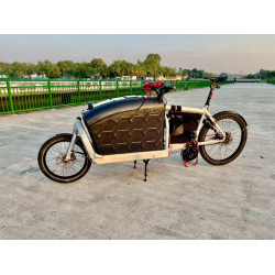 Carbon Transportbox für Bullitt