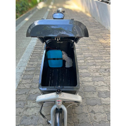 Carbon Transportbox für Bullitt