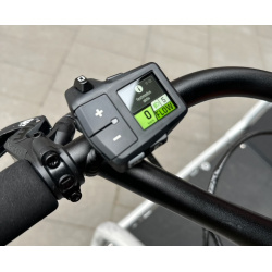 Pinion MGU E1.9 ohne Farbe