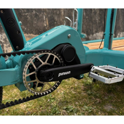 Pinion MGU E1.9 mit RAL Classic