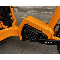 Pinion MGU Bullitt